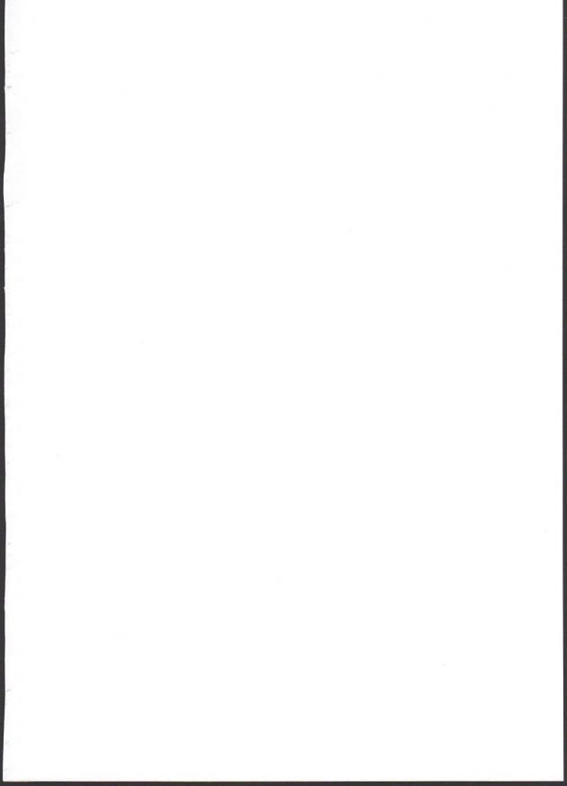 【エロ同人 プリキュア】地球の大人は大変ルン【無料 エロ漫画】(2)